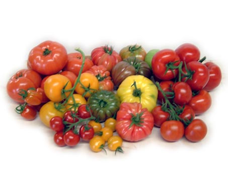 an assortment of Tomatoes